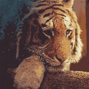 Meet your Posher, Charles